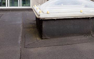 disadvantages of Puddinglake flat roofs